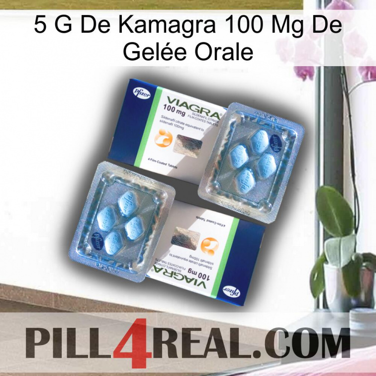 5 G De Kamagra 100 Mg De Gelée Orale viagra5